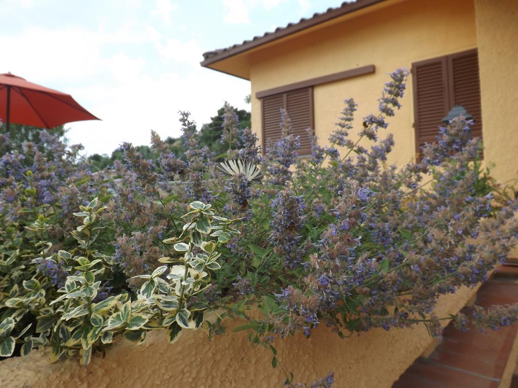 Rifugio Al Sole Villa Reggello Exterior photo